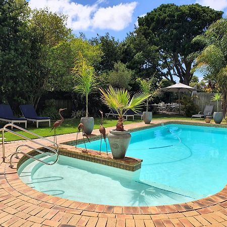 Wild Olive Guest House & Villa Cape Town Dış mekan fotoğraf