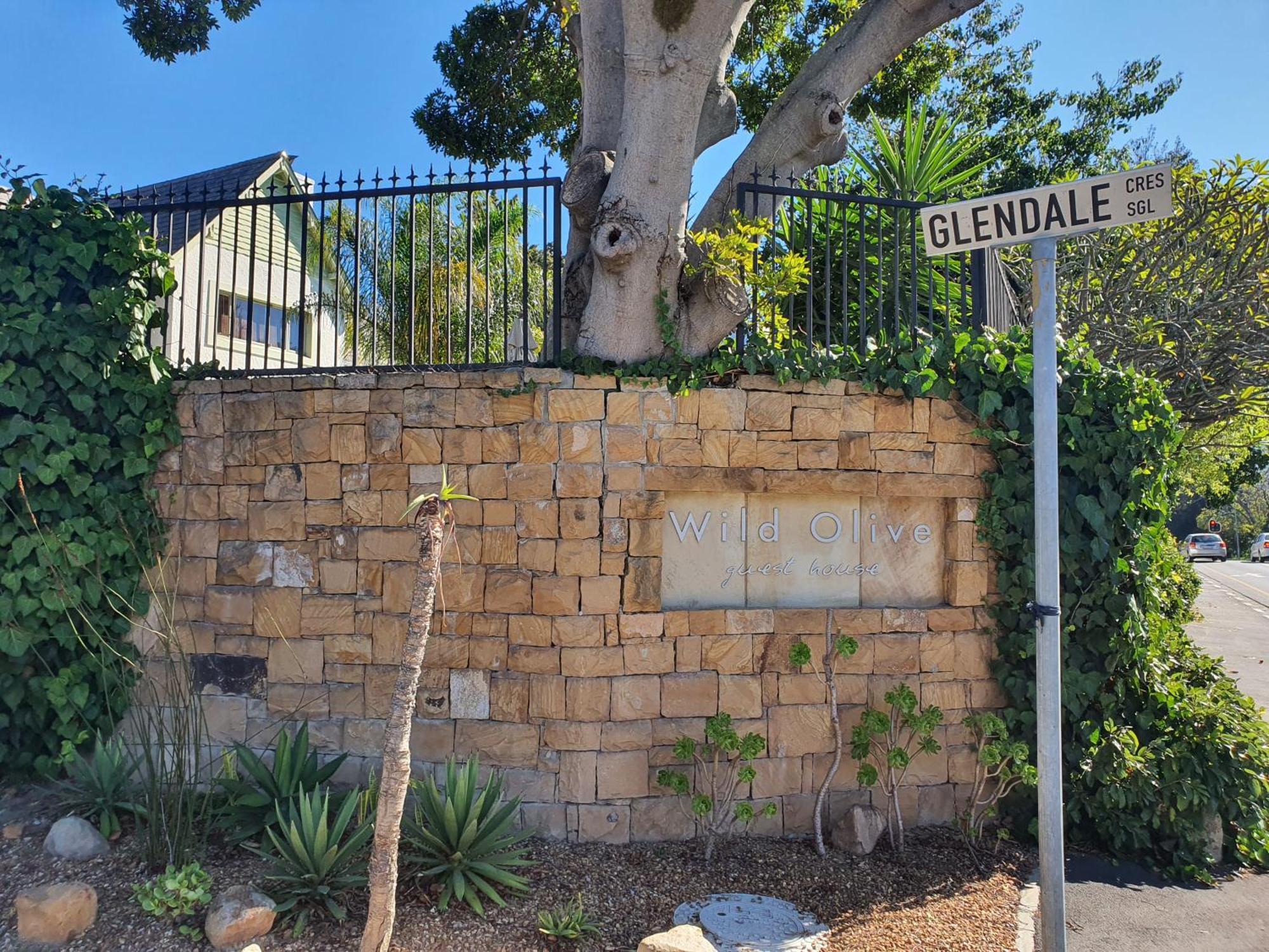 Wild Olive Guest House & Villa Cape Town Dış mekan fotoğraf