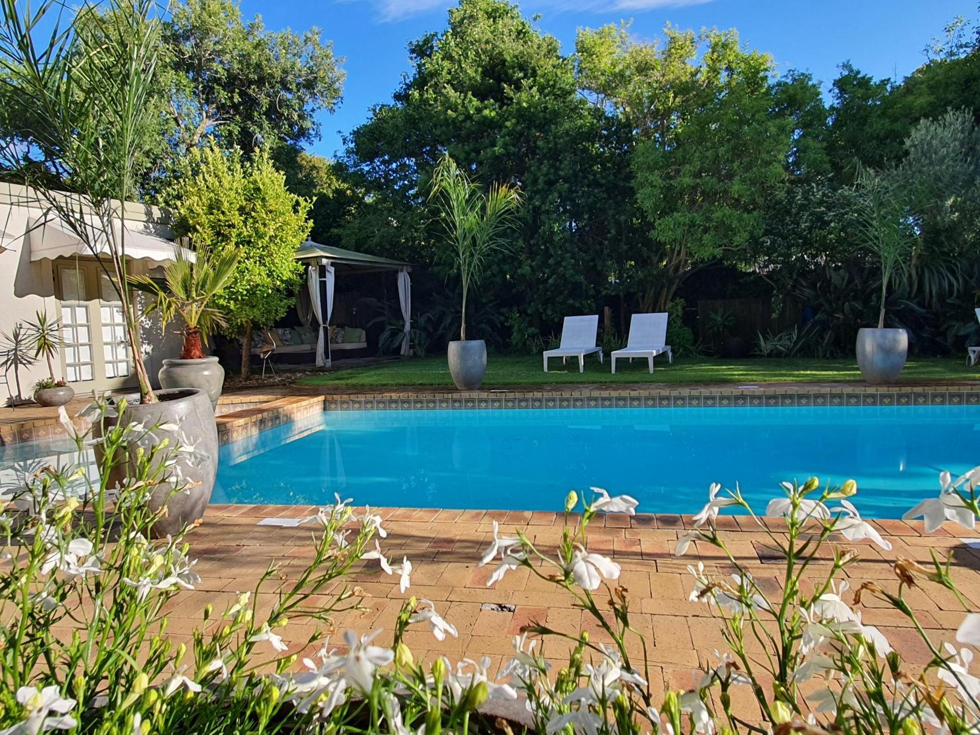 Wild Olive Guest House & Villa Cape Town Dış mekan fotoğraf