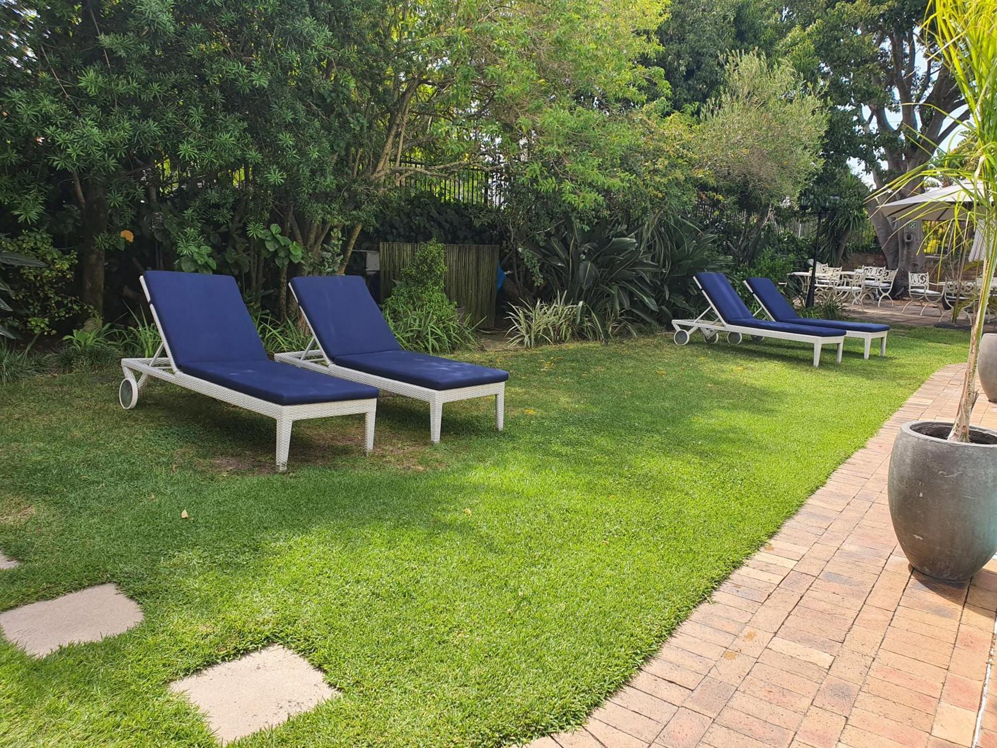 Wild Olive Guest House & Villa Cape Town Dış mekan fotoğraf