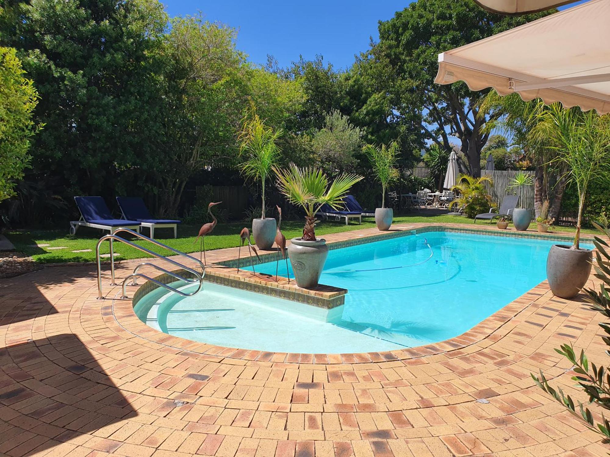 Wild Olive Guest House & Villa Cape Town Dış mekan fotoğraf