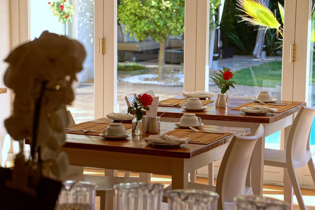 Wild Olive Guest House & Villa Cape Town Dış mekan fotoğraf