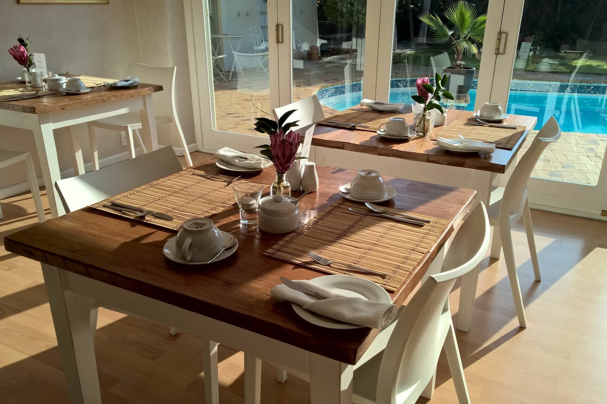 Wild Olive Guest House & Villa Cape Town Dış mekan fotoğraf