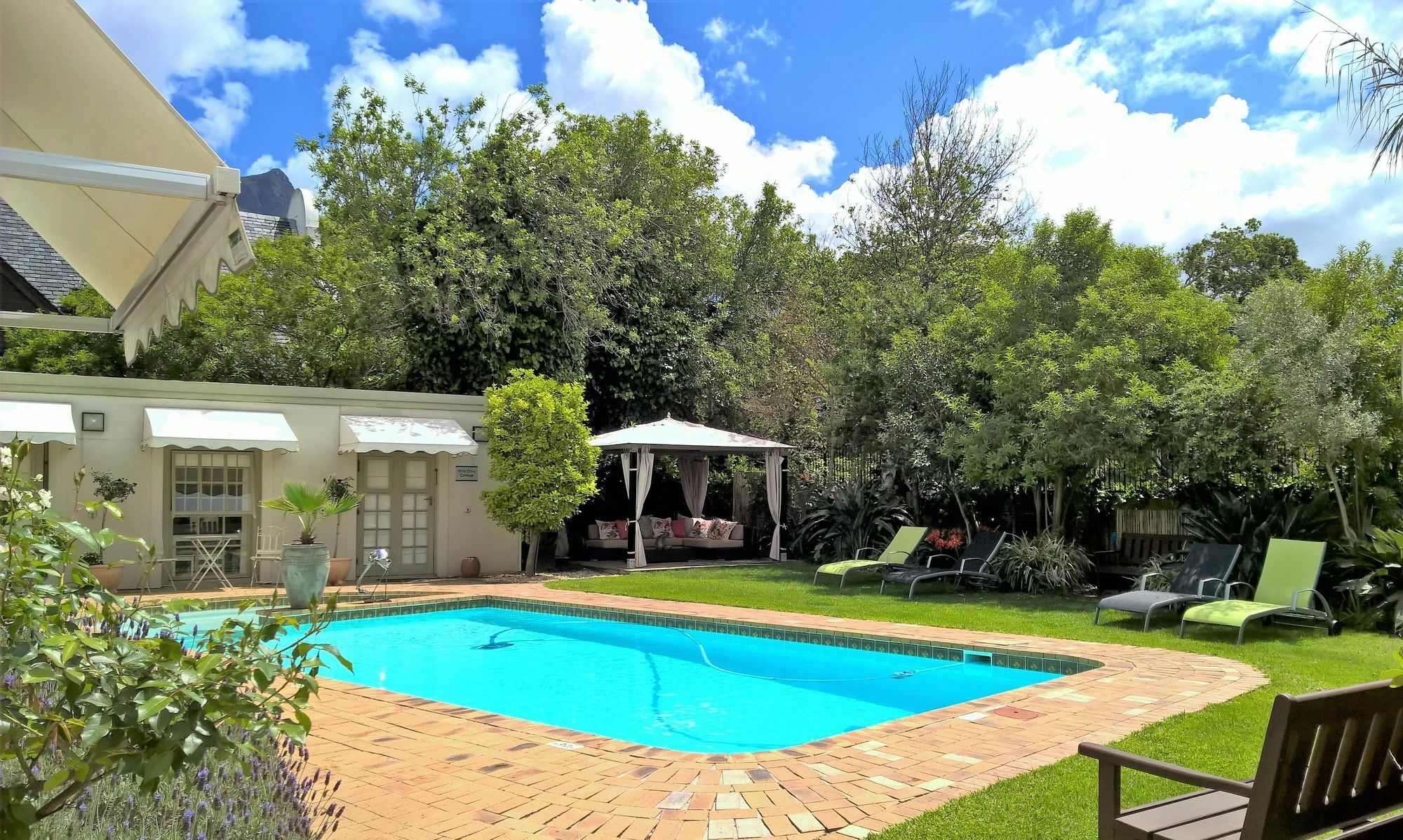 Wild Olive Guest House & Villa Cape Town Dış mekan fotoğraf